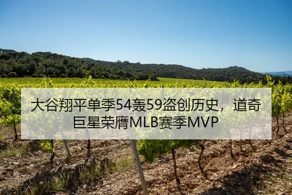大谷翔平单季54轰59盗创历史，道奇巨星荣膺MLB赛季MVP