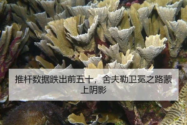 推杆数据跌出前五十，舍夫勒卫冕之路蒙上阴影