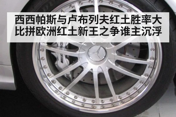西西帕斯与卢布列夫红土胜率大比拼欧洲红土新王之争谁主沉浮