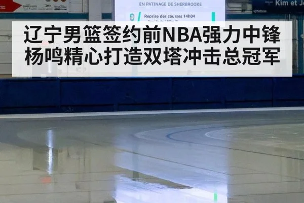 辽宁男篮签约前NBA强力中锋杨鸣精心打造双塔冲击总冠军
